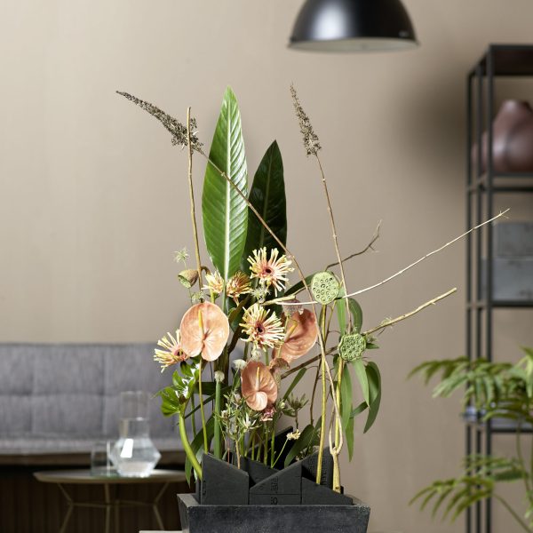 10-01058_OASIS(R)BLACK IDEAL Ziegel_(C)BLOOMS